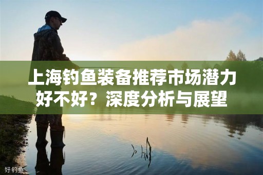 上海钓鱼装备推荐市场潜力好不好？深度分析与展望