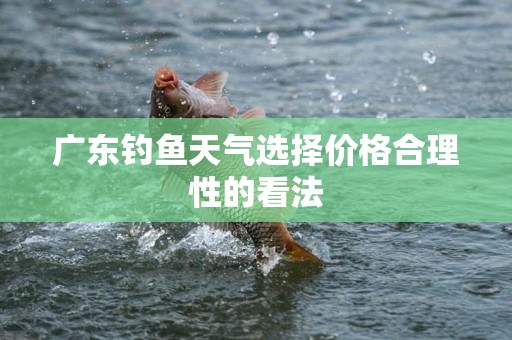 广东钓鱼天气选择价格合理性的看法