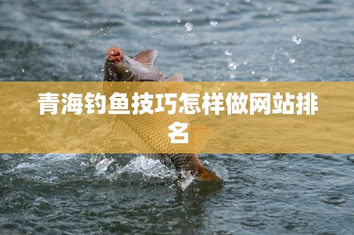 青海钓鱼技巧怎样做网站排名