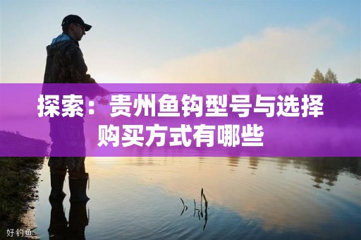 探索：贵州鱼钩型号与选择购买方式有哪些