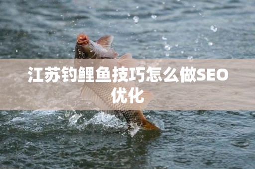 江苏钓鲤鱼技巧怎么做SEO优化