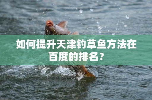 如何提升天津钓草鱼方法在百度的排名？