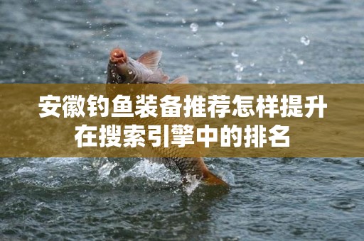 安徽钓鱼装备推荐怎样提升在搜索引擎中的排名