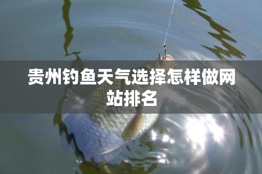 贵州钓鱼天气选择怎样做网站排名