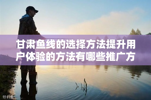甘肃鱼线的选择方法提升用户体验的方法有哪些推广方式有哪些