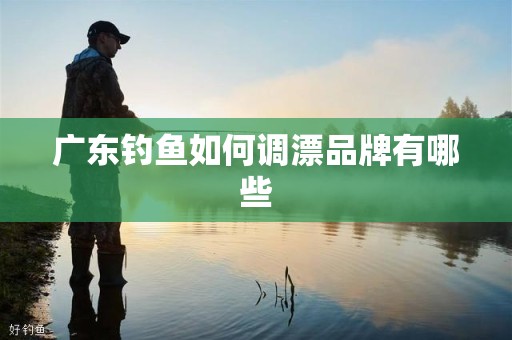 广东钓鱼如何调漂品牌有哪些