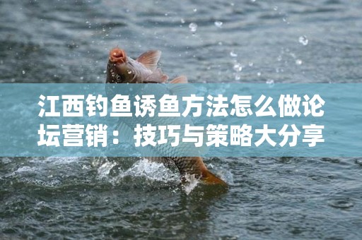 江西钓鱼诱鱼方法怎么做论坛营销：技巧与策略大分享