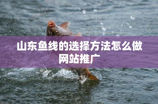 山东鱼线的选择方法怎么做网站推广