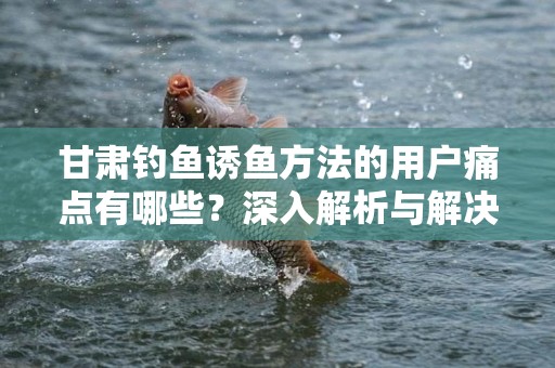 甘肃钓鱼诱鱼方法的用户痛点有哪些？深入解析与解决方案
