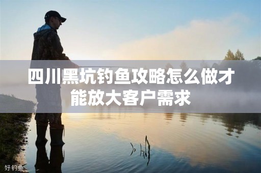 四川黑坑钓鱼攻略怎么做才能放大客户需求