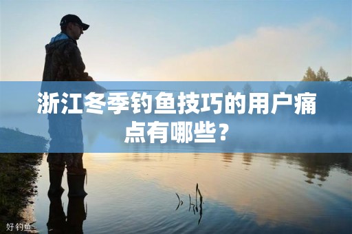 浙江冬季钓鱼技巧的用户痛点有哪些？