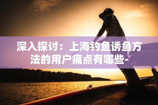 深入探讨：上海钓鱼诱鱼方法的用户痛点有哪些-
