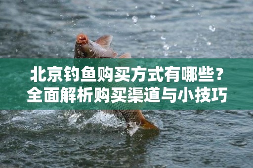 北京钓鱼购买方式有哪些？全面解析购买渠道与小技巧
