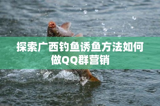 探索广西钓鱼诱鱼方法如何做QQ群营销