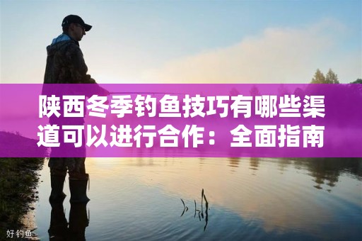 陕西冬季钓鱼技巧有哪些渠道可以进行合作：全面指南
