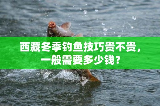 西藏冬季钓鱼技巧贵不贵，一般需要多少钱？