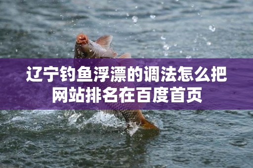 辽宁钓鱼浮漂的调法怎么把网站排名在百度首页