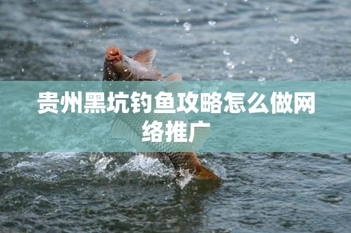 贵州黑坑钓鱼攻略怎么做网络推广