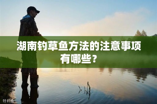 湖南钓草鱼方法的注意事项有哪些？
