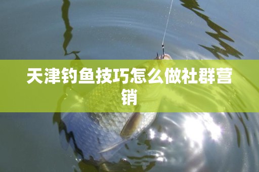 天津钓鱼技巧怎么做社群营销