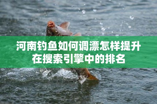 河南钓鱼如何调漂怎样提升在搜索引擎中的排名