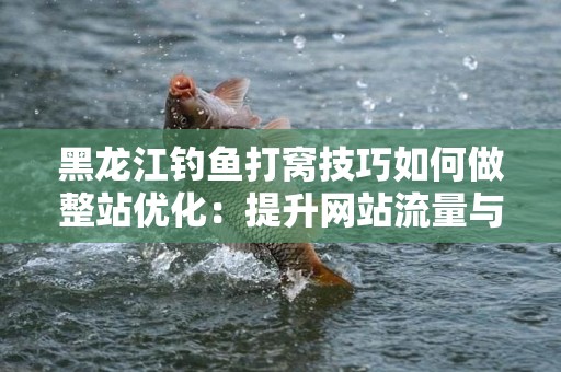 黑龙江钓鱼打窝技巧如何做整站优化：提升网站流量与用户体验