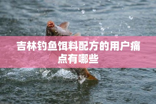 吉林钓鱼饵料配方的用户痛点有哪些