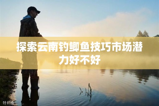 探索云南钓鲫鱼技巧市场潜力好不好