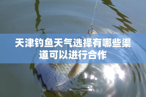 天津钓鱼天气选择有哪些渠道可以进行合作