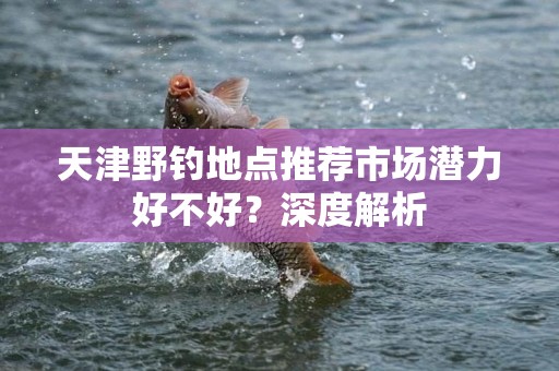 天津野钓地点推荐市场潜力好不好？深度解析