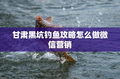 甘肃黑坑钓鱼攻略怎么做微信营销