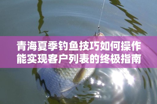 青海夏季钓鱼技巧如何操作能实现客户列表的终极指南