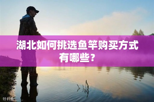 湖北如何挑选鱼竿购买方式有哪些？