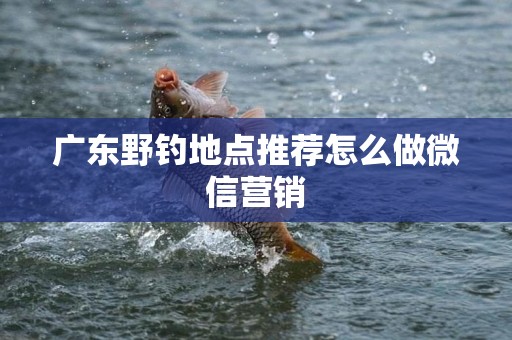 广东野钓地点推荐怎么做微信营销