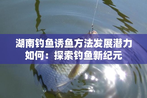 湖南钓鱼诱鱼方法发展潜力如何：探索钓鱼新纪元