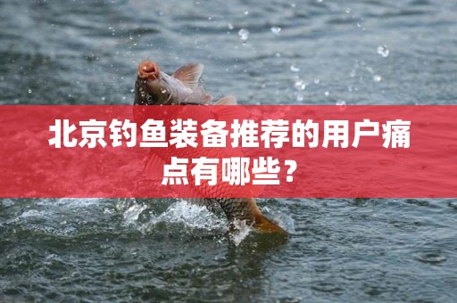 北京钓鱼装备推荐的用户痛点有哪些？