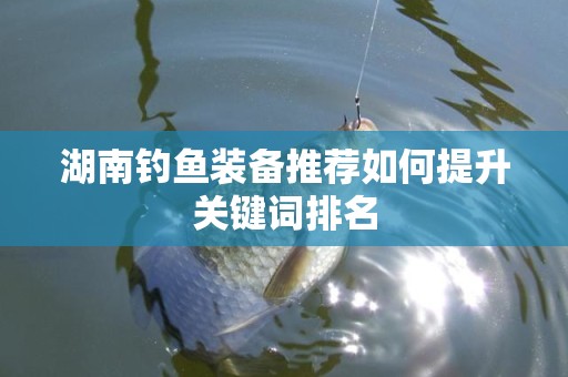 湖南钓鱼装备推荐如何提升关键词排名