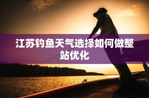 江苏钓鱼天气选择如何做整站优化