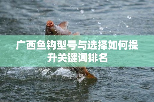 广西鱼钩型号与选择如何提升关键词排名