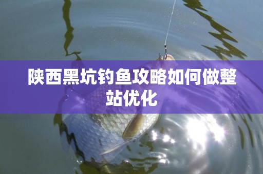 陕西黑坑钓鱼攻略如何做整站优化