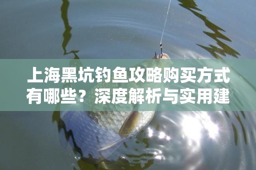 上海黑坑钓鱼攻略购买方式有哪些？深度解析与实用建议