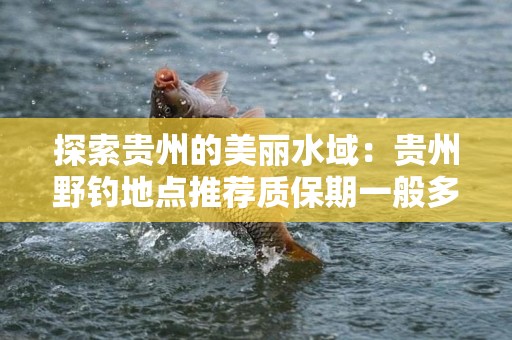 探索贵州的美丽水域：贵州野钓地点推荐质保期一般多久？