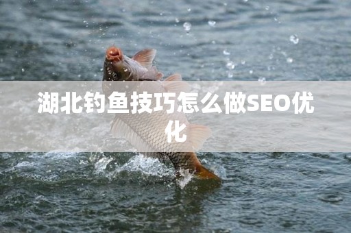 湖北钓鱼技巧怎么做SEO优化