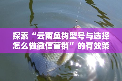 探索“云南鱼钩型号与选择怎么做微信营销”的有效策略