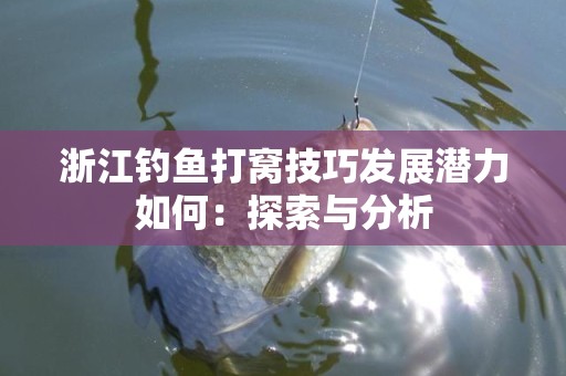 浙江钓鱼打窝技巧发展潜力如何：探索与分析