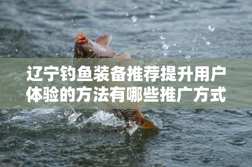 辽宁钓鱼装备推荐提升用户体验的方法有哪些推广方式有哪些