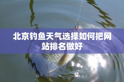 北京钓鱼天气选择如何把网站排名做好