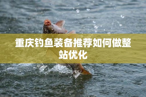 重庆钓鱼装备推荐如何做整站优化