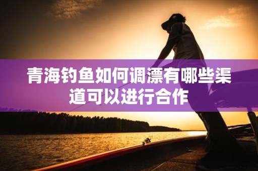 青海钓鱼如何调漂有哪些渠道可以进行合作