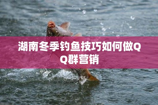 湖南冬季钓鱼技巧如何做QQ群营销